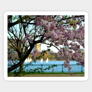 A spring day on the Charles River Sticker